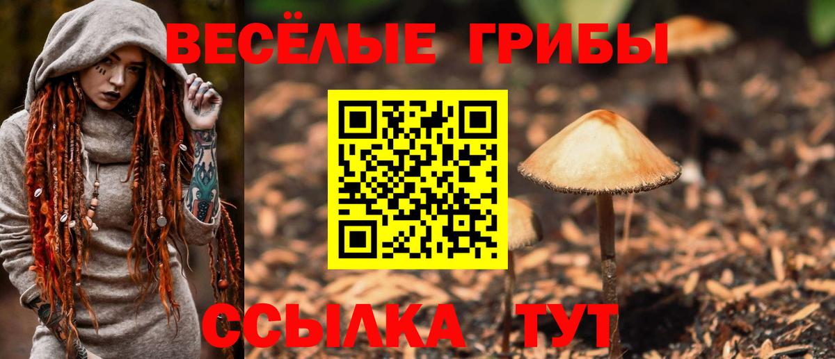 Хабаровск  Галлюциногенные грибы Cubensis  Вход с VPN 